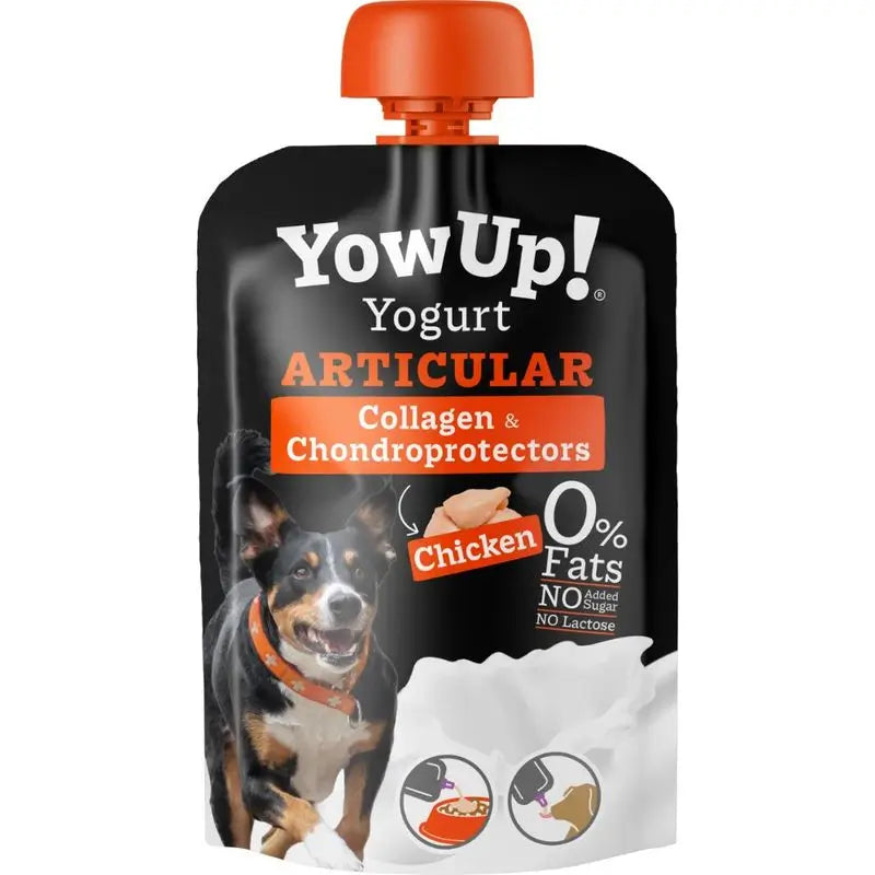Yow Up Pouch Joghurt Hunde Joint Box 10X115Gr